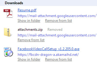 Screenshot of Google Chrome Downloads Folder