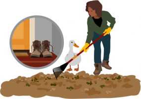 Illustration showing woman cleaning up after duck.