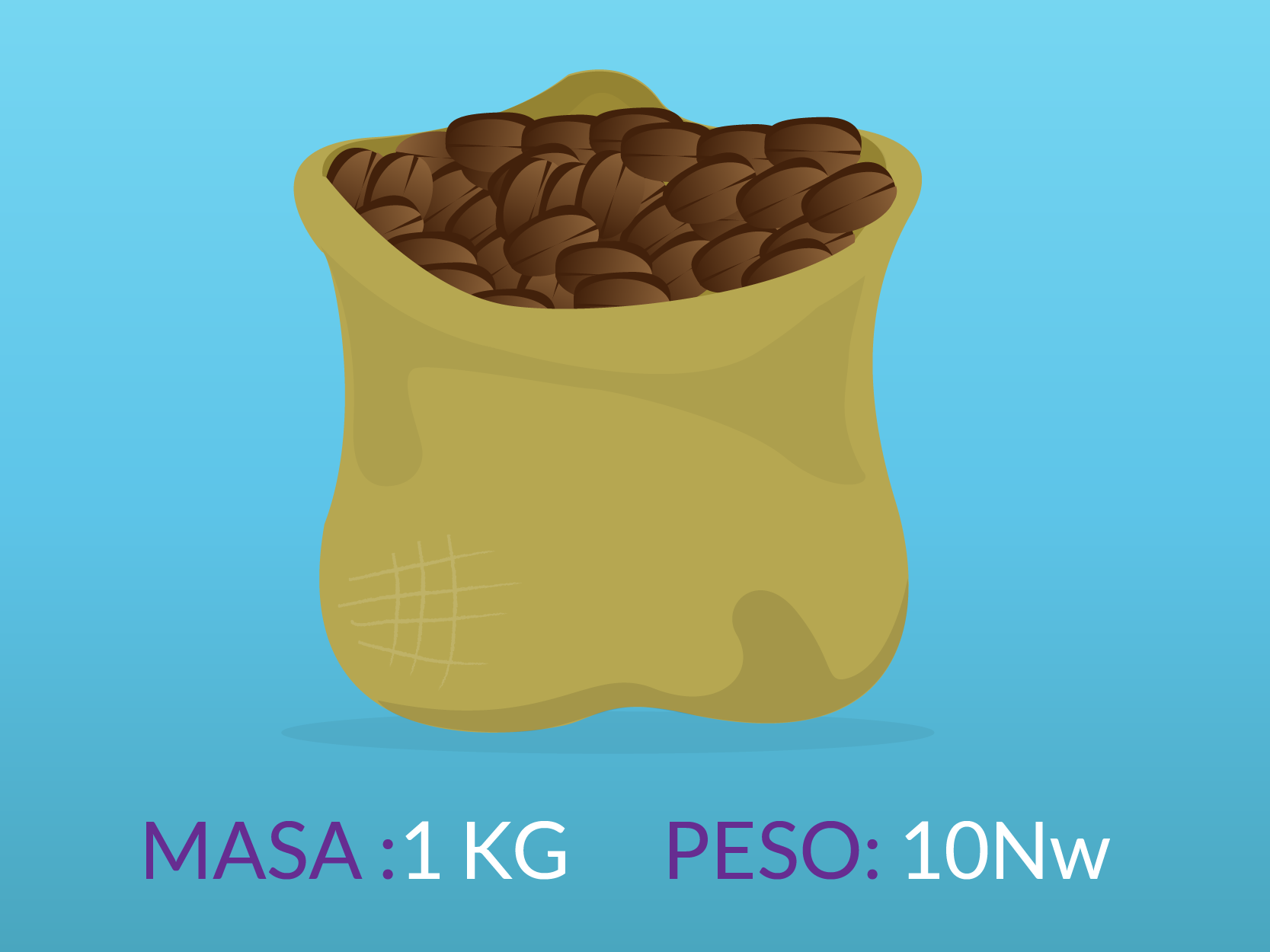 Un saco con una masa de 1 kilo tiene un peso de 10 Newtons.
