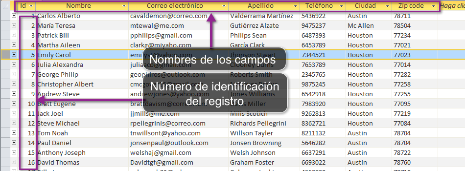 Tabla de Access 2010 que muestra dónde se ubican los números de identificación.