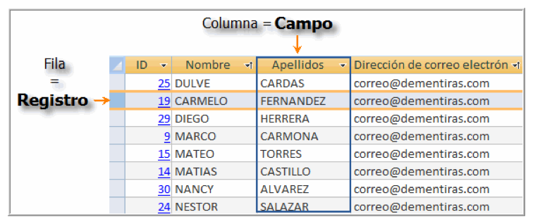 Datos de una Tabla de Información de Access
