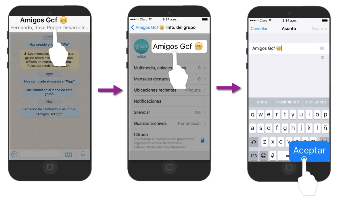 Ingresa a la información del grupo, pulsa sobre el nombre y escribe uno nuevo.