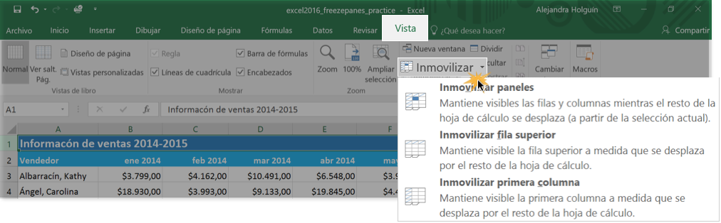 Imagen ejemplo de cómo inmovilizar una fila o una columna.