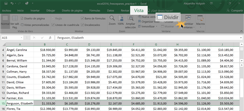 Imagen ejemplo de cómo Dividir una hoja de cálculo.