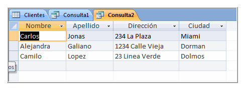 Resultados de Consulta con Campos Escondidos