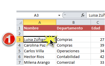 Imagen ejemplo del primer paso para ordenar una lista en orden alfabético en Excel 2010.