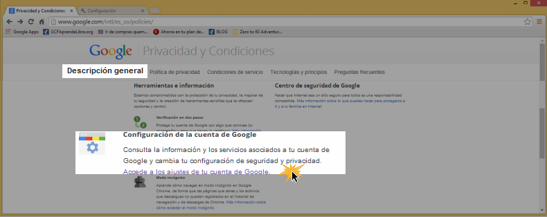 Vista de la opción Descripción general y Configuración de la cuenta Google.