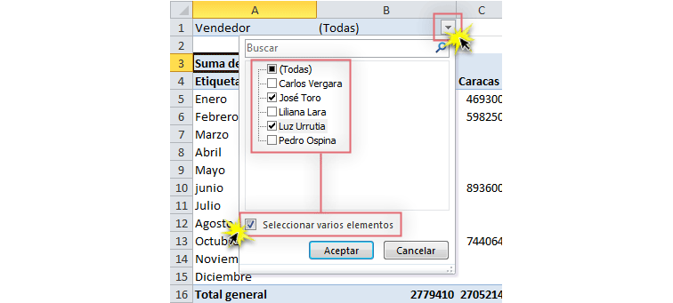 Imagen ejemplo de cómo activar un filtro en una tabla dinámica de Excel 2010.