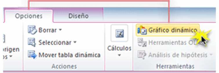 Imagen ejemplo del comando Gráfico Dinámico en la pestaña Opciones de Excel 2010.