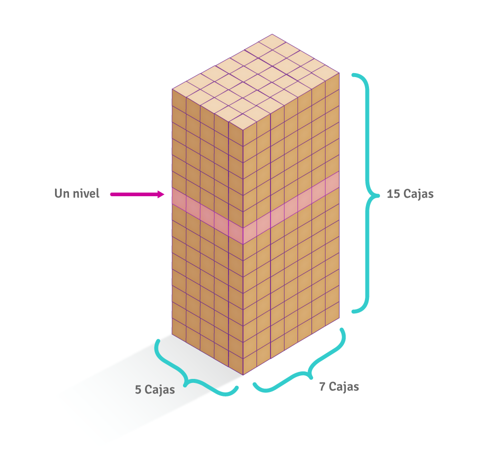 Disposición de las cajas.