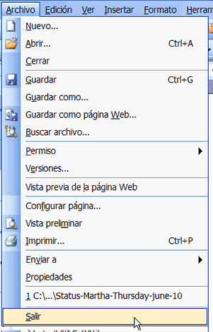 Menú desplegable de la pestañArchivo con el botón salir resaltado.
