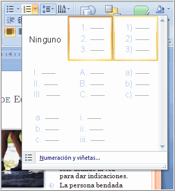 Opciones de numeración