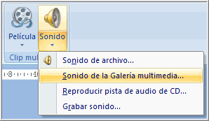 Opción sonido de galería multimedia