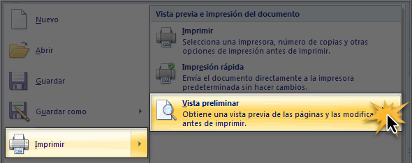 Imagen ejemplo de cómo ir a la vista previa del documento en Word 2007.