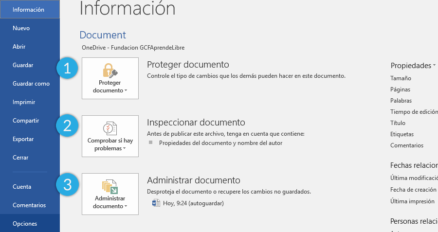 Panel principal pestaña Información.