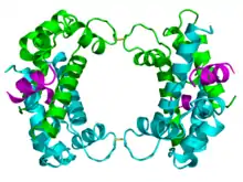 The p11 protein.