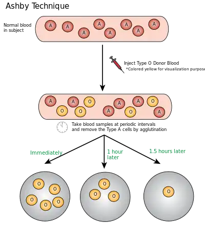 Ashby Technique Visual Representation.