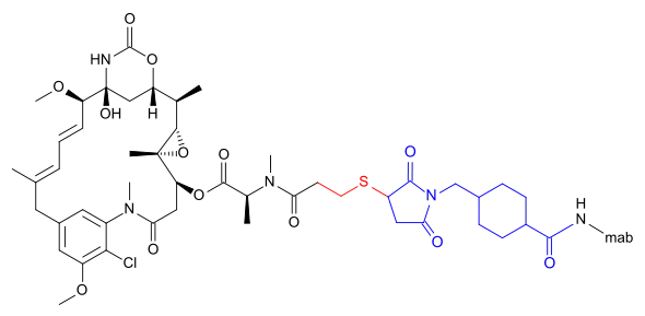 Schematic representation of trastuzumab emtansine. The maytansine skeleton is shown in black at left. The thioether group that makes mertansine is shown in red. The linker group that makes emtansine is shown in blue at right, bound to the amino group (HN–) of a lysine residue in the trastuzumab molecule (–mab).