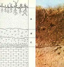  This is a diagram and related photograph of soil layers from bedrock to soil.