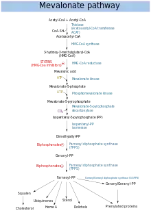 Chemical flow chart