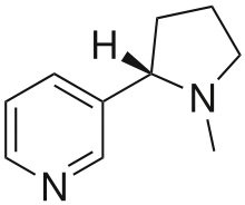 An image of the nicotine molecule.