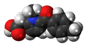 Space-filling model