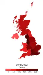 Actual cumulative COVID-19 deaths by region