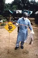 Testing of Gambian rats (1997)