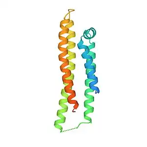Obtained from RCSB PDB