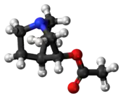 Ball-and-stick model of the aceclidine molecule