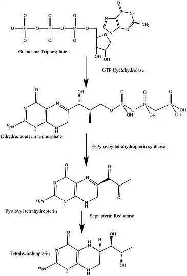 This image depicts the pathway for the synthesis of tetrahydrobiopterin, a very important cofactor in the human body.