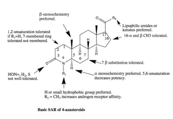 Basic SAR of 4-azasteroids