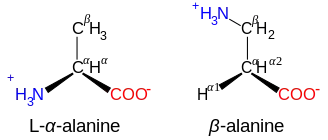 Diagrammatic comparison of the structures of β-alanine and α-alanine