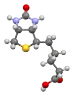 Ball-and-stick model of the Biotin molecule