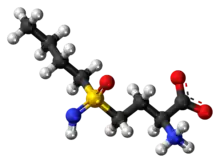 Ball-and-stick model of buthionine sulfoximine as a zwitterion