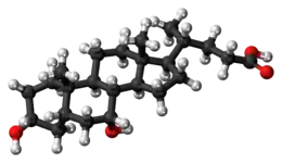 Ball-and-stick model of the chenodeoxycholic acid molecule