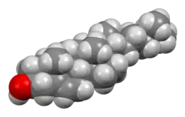Space-filling model of cholesterol