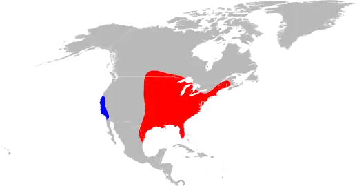 American dog tick (Dermacentor variabilis) range