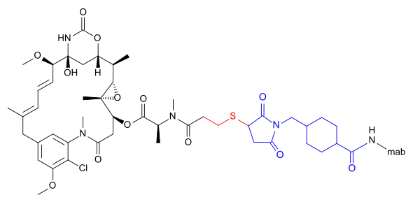 Schematic representation of trastuzumab emtansine. The maytansine skeleton is shown in black at left. The thioether group that makes mertansine is shown in red. The linker group that makes emtansine is shown in blue at right, bound to the amino group (HN–) of a lysine residue in the trastuzumab molecule (–mab).