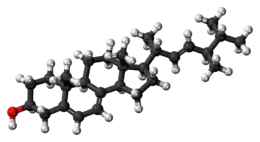 Ball-and-stick model of ergosterol