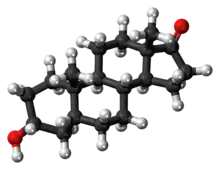 Ball-and-stick model of the etiocholanolone molecule