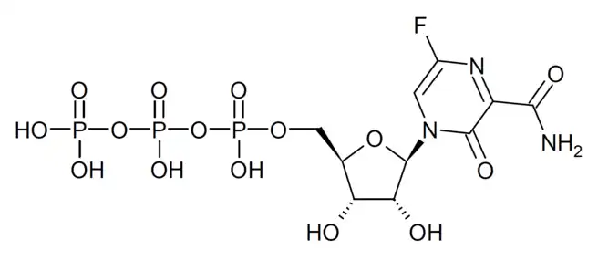 Favipiravir ribofuranosyl triphosphate, the active form inside the body