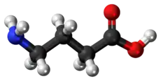 GABA molecule