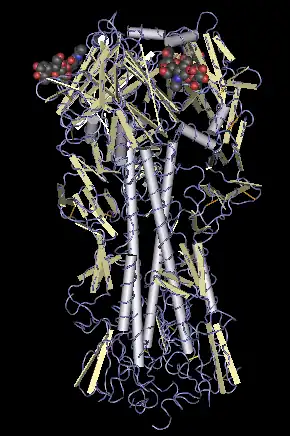 The H in H5N1 stands for "hemagglutinin", as depicted in this molecular model