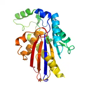 A cartoon of the tertiary structure of TIGAR
