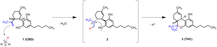 Intramolekulare cyklisierung von CBD zu Δ9-THC