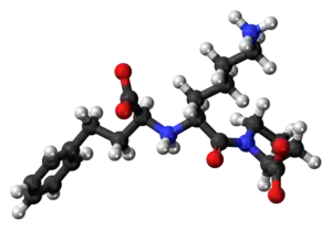 Ball-and-stick model of the lisinopril zwitterion