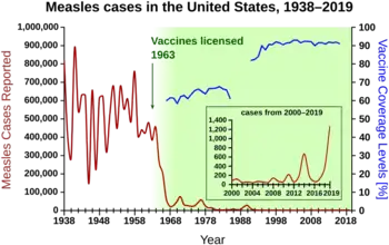 Measles cases 1944-1963 followed a highly variable epidemic pattern, with 150,000-850,000 cases reported per year. A sharp decline followed introduction of the first measles vaccine in 1963, with fewer than 25,000 cases reported in 1968. Outbreaks around 1971 and 1977 gave 75,000 and 57,000 cases, respectively. Cases were stable at a few thousand per year until an outbreak of 28,000 in 1990. Cases declined from a few hundred per year in the early 1990s to a few dozen in the 2000s.