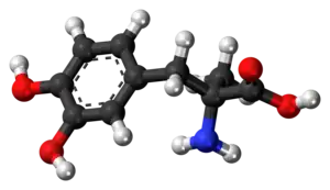 Ball-and-stick model of the methyldopa molecule
