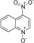 Structural formula of  4-nitroquinoline 1-oxide